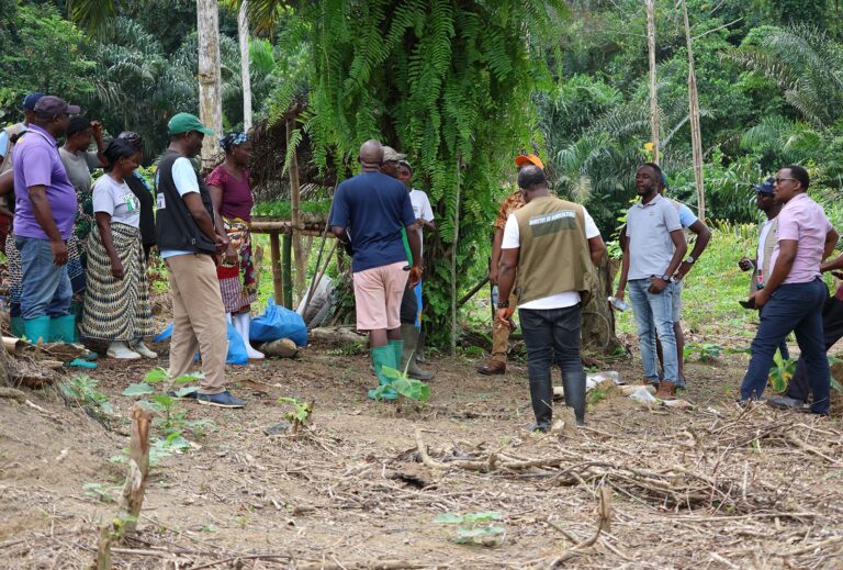 LIBERIA: From Hunters to Guardians: Liberiaโs New Forest Rhythm